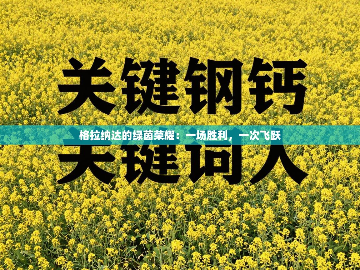 格拉纳达的绿茵荣耀:一场胜利,一次飞跃 第2张