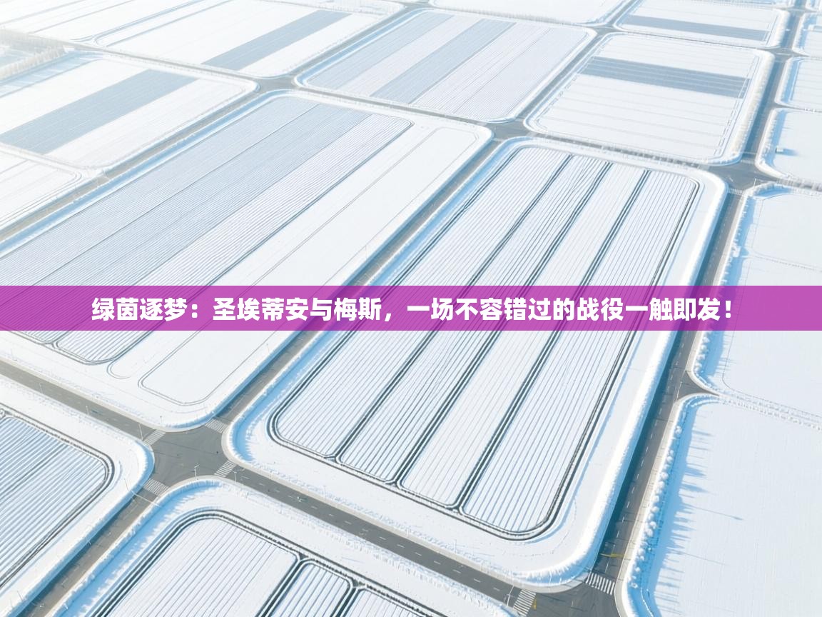 绿茵逐梦：圣埃蒂安与梅斯，一场不容错过的战役一触即发！  第2张