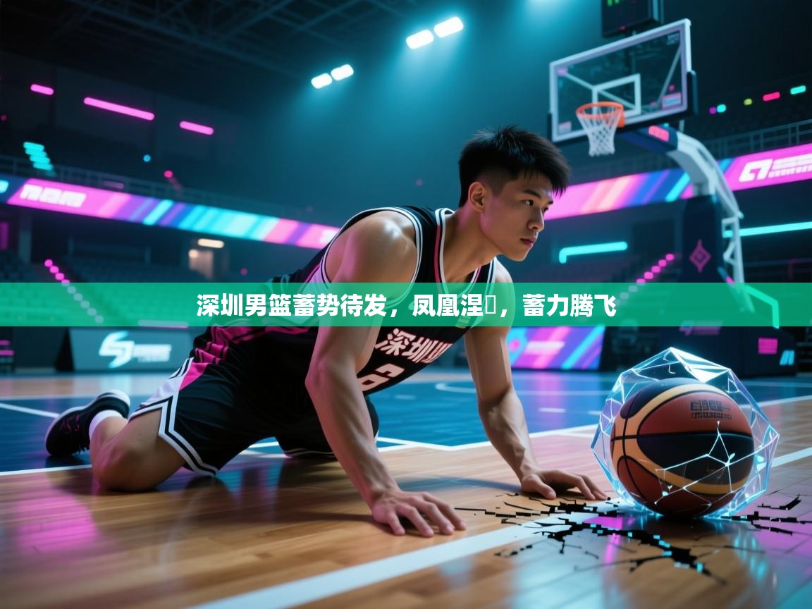 深圳男篮蓄势待发，凤凰涅槃，蓄力腾飞