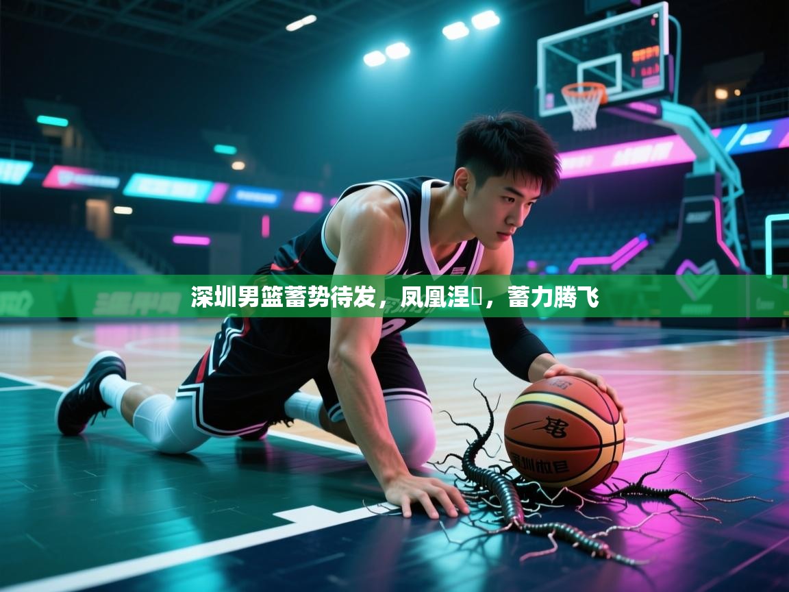 深圳男篮蓄势待发,凤凰涅槃,蓄力腾飞 第2张